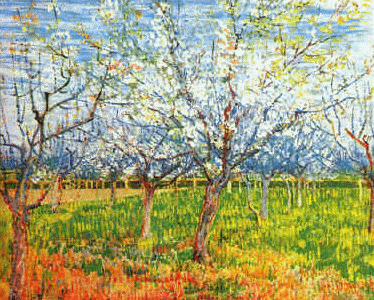 Orchard in Blossom